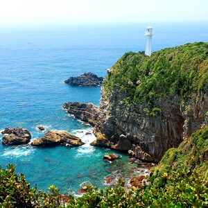 一括寄附で4つの事業を応援！返礼品なし 100,000円（子ども食堂・引退馬の余生応援・椿の森再生・まちづくり支援）【R01226】