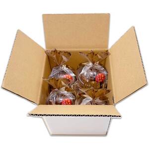 田野屋塩二郎シューラスク・足摺黄金糖 きな粉添え 4個セット 【R01162】