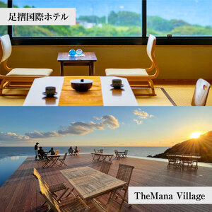 あしずり温泉郷 共通宿泊クーポン券 3,000円分 【R01313】