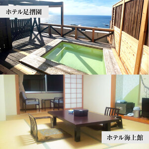 あしずり温泉郷 共通宿泊クーポン券 3,000円分 【R01313】