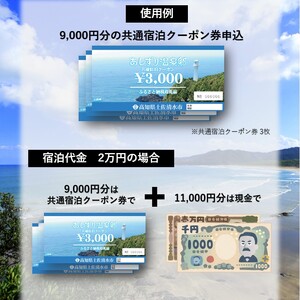 あしずり温泉郷 共通宿泊クーポン券 6,000円分 【R01314】