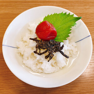 ご飯のお供セット 極上TKG用宗田節×1本 宗田節塩昆布×2袋 【R01389】