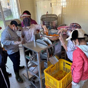 【先行予約　令和７年９月末より発送予定】シークワーサーパウンドケーキ(4個入り)とシークワーサー果汁セット(300ml) 【R01334】