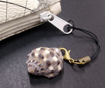 おまかせ 貝殻のストラップ 1本 【R01347】