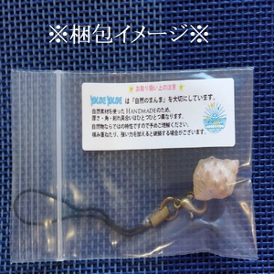 おまかせ 貝殻のストラップ 1本 【R01347】