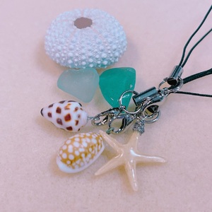 おまかせ 貝殻のストラップ 1本 【R01347】