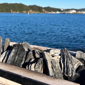 土佐備長炭 1箱×4kg ウバメガシ 【R01312】