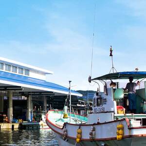 ブリの藁焼きたたき 2本（2~3人前）タレ付きのセット【R01396】