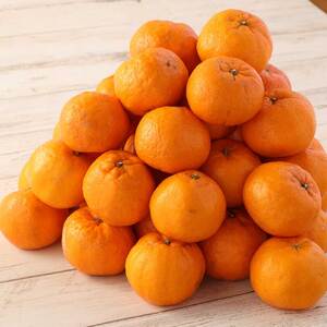 【令和8年発送】【訳あり】ぽんかん３kg【R01375】