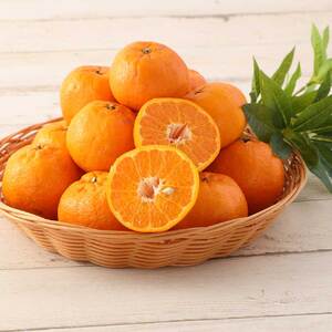 【令和8年発送】【訳あり】ぽんかん３kg【R01375】