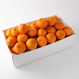 【令和8年発送】【訳あり】ぽんかん３kg【R01375】