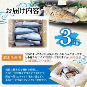 【ふるなびWEEK対象】訳あり 塩サバ 3kg 約18枚 【R01520】FN-Limited-PR
