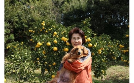 R8.4月中旬以降発送 ご贈答◎ ギフト◎ 小夏 5kg 【R01490】