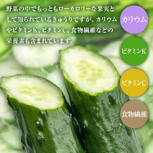 きゅうり 2kg 【R01451】