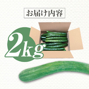 きゅうり 2kg 【R01451】