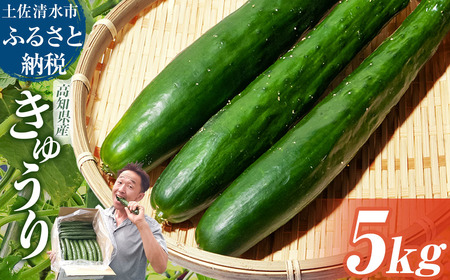 きゅうり 5kg 【R01452】
