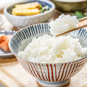 農家直送 令和8年産 コシヒカリ 精米 5キロ 【R01590】