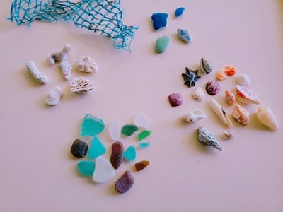 天然素材のシーボトル制作キット（１本用）工作 インテリア 雑貨 海 小物 貝殻 サンゴ 夏休み なつやすみ 自由研究 ハンドメイド 手作り【R01332】