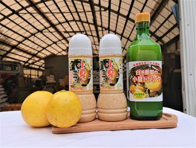 【BC-2】白浜農園の小夏を使った濃縮ドリンクとドレッシング詰合せセットB
