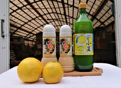 【M-26】白浜農園の小夏を使った濃縮ドリンクとドレッシング詰合せセットA
