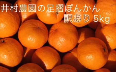 【訳あり】井村農園の足摺ぽんかん（５㎏）デコポンの親 みかん 柑橘 フルーツ 先行予約【R00157】