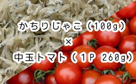 【A-113】じゃことフルティカトマトセット