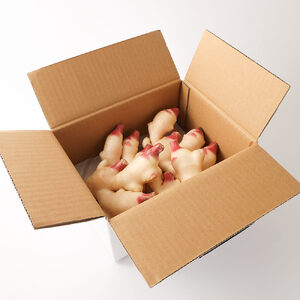 【先行受付】新生姜４kg 【R01550】