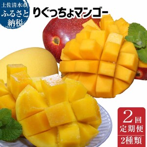 南国フルーツ2回定期便】アップルマンゴー＆金蜜マンゴー（各種１kg