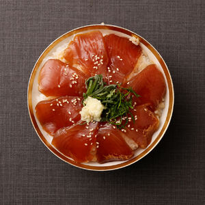 6回定期便：旬のお魚漬け丼セット100g×4P（魚種1種類おまかせ）2400g 【J00033】