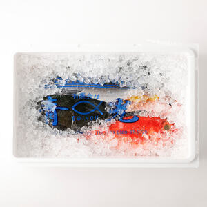 <3回定期便> 季節の鮮魚 おまかせお楽しみセット（ブロンズコース） 【J00023】