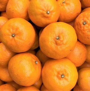 【令和8年　1月下旬より発送】<訳あり> ぽんかん   5kg 【R01343】