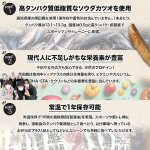 鰹BAR for Sports（塩レモン味 50本）【R01483】