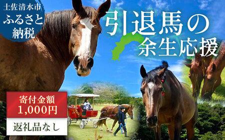 引退馬 余生支援 1,000円コース 返礼品なし 養老馬 競走馬 引退競走馬 馬支援 競馬 馬 うま ウマ 馬支援 動物 あしずりダディー牧場 高知県 土佐清水市【R01528】