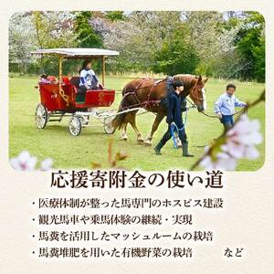 引退馬 余生支援 1,000円コース 返礼品なし 養老馬 競走馬 引退競走馬 馬支援 競馬 馬 うま ウマ 馬支援 動物 あしずりダディー牧場 高知県 土佐清水市【R01528】