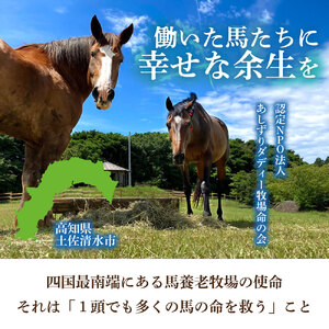 引退馬 余生支援 5,000円コース 返礼品なし 養老馬 競走馬 引退競走馬 馬支援 競馬 馬 うま ウマ 馬支援 動物 あしずりダディー牧場 高知県 土佐清水市【R01529】
