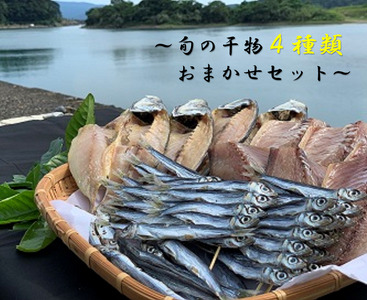 旬の干物４種類おまかせセット　無添加 お楽しみ 干し魚 健康食品 おかず 惣菜 おつまみ【R00764】