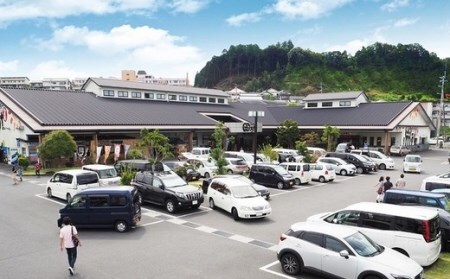 R5-956．四万十市おもてなしタクシー①「四万十川満喫コース」2時間