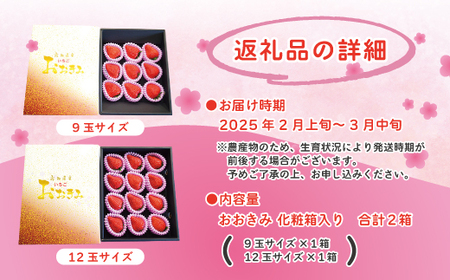 24-774．【早期受付・数量限定】苺の貴婦人おおきみ(化粧箱)2箱【2025年2月より順次発送予定】