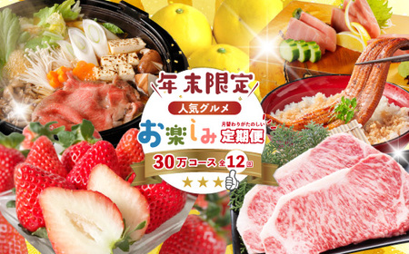 【年末限定】 12回 定期便 四万十 人気 グルメ お楽しみ定期便 しまんと ふるさと 30万円 今だけ 年末 限定 肉 いちご 文旦 うなぎ 牛肉 パン まぐろ マグロ かつお フルーツ 人気グルメ ごちそう 贅沢 豪華 高知 四万十市 25-618