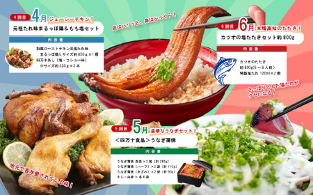 【年末限定】 12回 定期便 四万十 人気 グルメ お楽しみ定期便 しまんと ふるさと 30万円 今だけ 年末 限定 肉 いちご 文旦 うなぎ 牛肉 パン まぐろ マグロ かつお フルーツ 人気グルメ ごちそう 贅沢 豪華 高知 四万十市 25-618