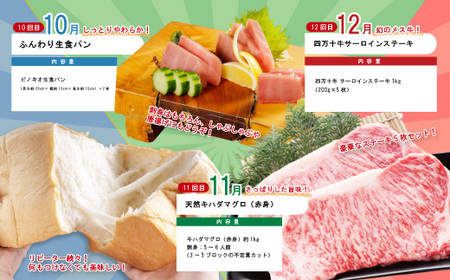 【年末限定】 12回 定期便 四万十 人気 グルメ お楽しみ定期便 しまんと ふるさと 30万円 今だけ 年末 限定 肉 いちご 文旦 うなぎ 牛肉 パン まぐろ マグロ かつお フルーツ 人気グルメ ごちそう 贅沢 豪華 高知 四万十市 25-618