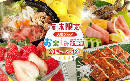 【年末限定】 12回 定期便 四万十 人気 グルメ お楽しみ定期便 しまんと ふるさと 20万円 今だけ 年末 限定 肉 いちご 文旦 うなぎ 牛肉 パン まぐろ マグロ かつお フルーツ 人気グルメ ごちそう 贅沢 豪華 高知 四万十市 25-616