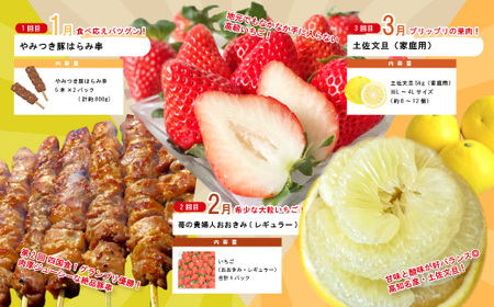 【年末限定】 12回 定期便 四万十 人気 グルメ お楽しみ定期便 しまんと ふるさと 20万円 今だけ 年末 限定 肉 いちご 文旦 うなぎ 牛肉 パン まぐろ マグロ かつお フルーツ 人気グルメ ごちそう 贅沢 豪華 高知 四万十市 25-616