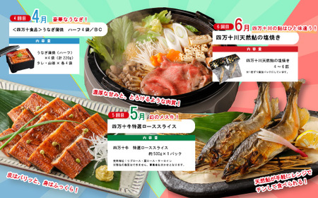 【年末限定】 12回 定期便 四万十 人気 グルメ お楽しみ定期便 しまんと ふるさと 20万円 今だけ 年末 限定 肉 いちご 文旦 うなぎ 牛肉 パン まぐろ マグロ かつお フルーツ 人気グルメ ごちそう 贅沢 豪華 高知 四万十市 25-616