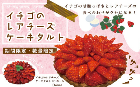 数量限定 期間限定 イチゴ たっぷり！イチゴの レアチーズ タルト 冷凍 フルーツ いちご 苺 チーズケーキ ケーキ 焼菓子 菓子 デザート スイーツ 高知 四万十 しまんと 限定【2026年1月中旬～4月下旬配送】25-504