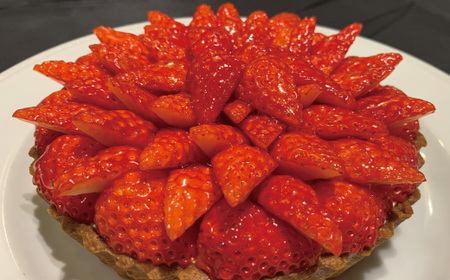 数量限定 期間限定 イチゴ たっぷり！イチゴの レアチーズ タルト 冷凍 フルーツ いちご 苺 チーズケーキ ケーキ 焼菓子 菓子 デザート スイーツ 高知 四万十 しまんと 限定【2026年1月中旬～4月下旬配送】25-504