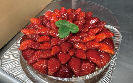 数量限定 期間限定 イチゴ たっぷり！イチゴの レアチーズ タルト 冷凍 フルーツ いちご 苺 チーズケーキ ケーキ 焼菓子 菓子 デザート スイーツ 高知 四万十 しまんと 限定【2026年1月中旬～4月下旬配送】25-504