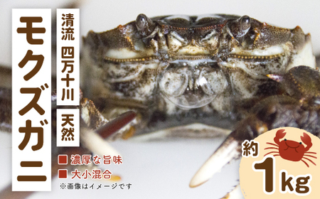 24-948．濃厚な旨み！清流四万十川・天然モクズガニ 約1kg（大小混合） | 高知県四万十市 | ふるさと納税サイト「ふるなび」