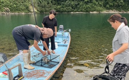 清流 四万十川 天然 モクズガニ 約1kg 濃厚な旨み 大小混合 冷凍 クール 国産 鮮度 魚介類 かに カニ 蟹 つがに ツガニ もくずがに かに汁 だし カニみそ 川ガニ 高知県 四万十市 しまんと 自然 瞬間冷凍 予約 お取り寄せ 25-948