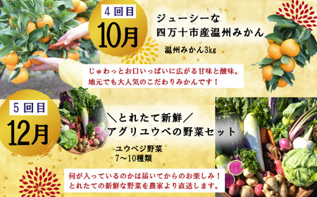 24-615．【年末限定】【5回定期便】四万十の人気グルメお楽しみ定期便 しまんとふるさと定期便5万円Bコース